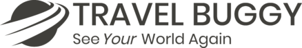 Travel Buggy logo in grey.